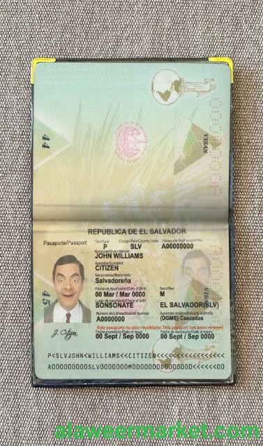 Salvador passport photo look